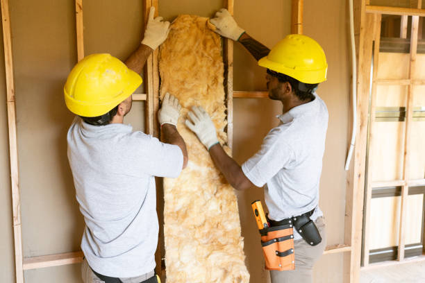 Best Blown-In Insulation  in Albany, IN